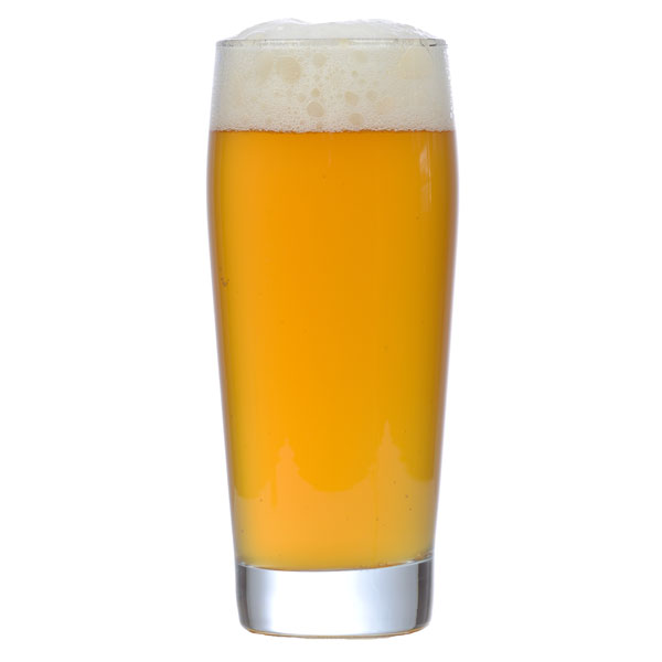 Charisma Cream Ale Extract Kit