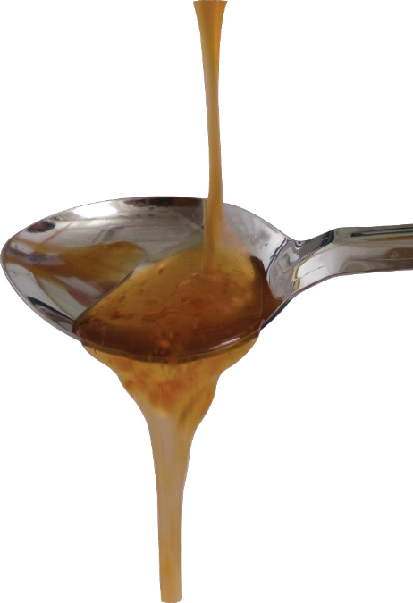 Cascade Beer Candi Syrup - Thai Ginger