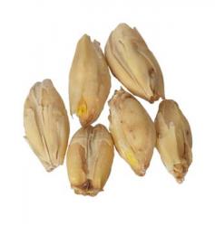 Fawcett Halcyon 10 lb Milled